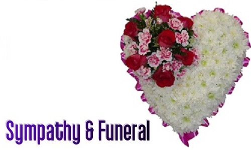 Sympathy & Funeral flowers